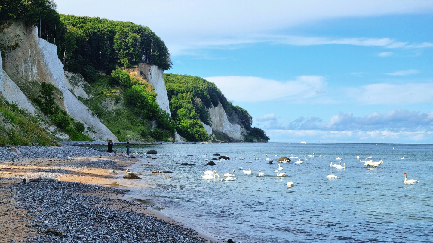 Die berühmten Kreidefelsen auf Rügen, eine der schönsten deutschen Inseln