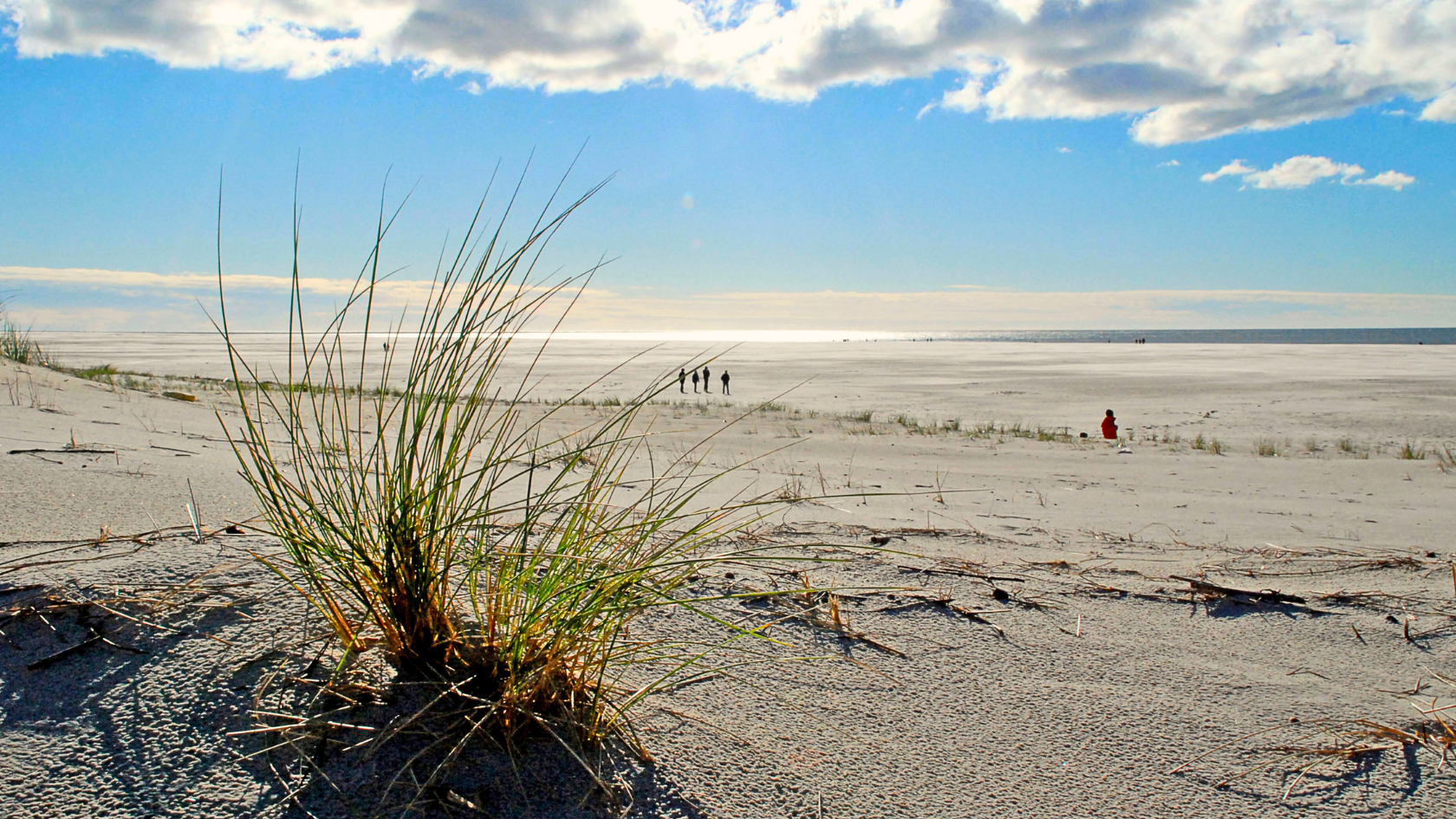 Der breite Kniepsand-Strand auf Amrum, eine der schönsten deutschen Inseln