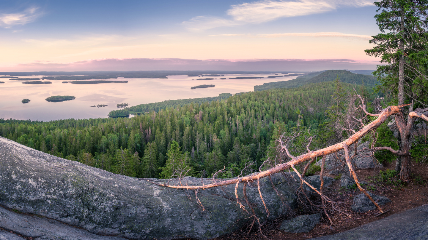 Panoramablick vom Berg Ukko-Koli über den Pielinen-See, eine der Top Sehenswürdigkeiten Finnland