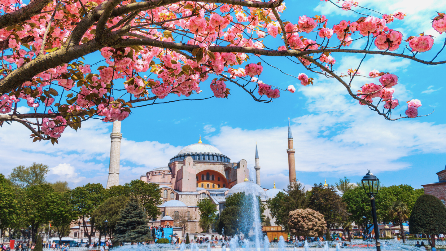 Istanbul im Frühling mit blühenden Tulpen vor der Blauen Moschee