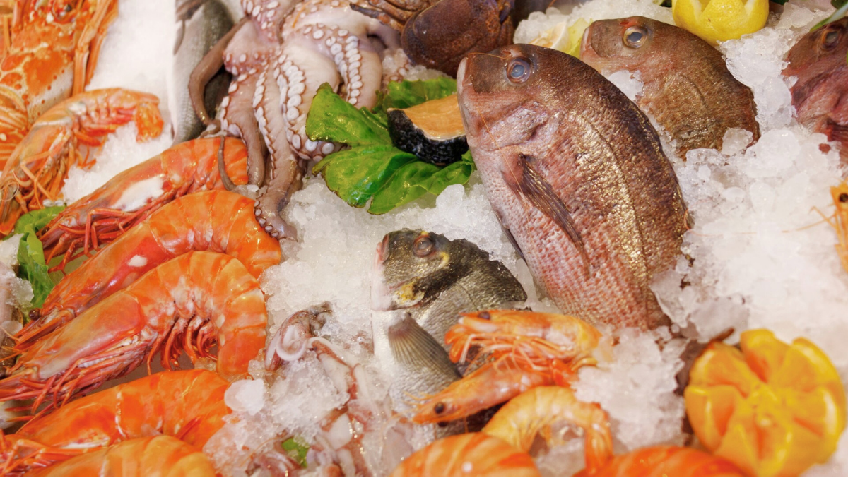 Frischer Fisch und Meeresfrüchte